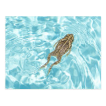 Carte postale amphibie 01