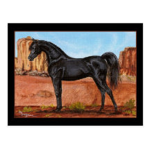 Carte postale Arabe de cheval de merveille de cany