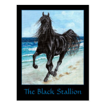 Carte postale Arabe de cheval d'étalon noir