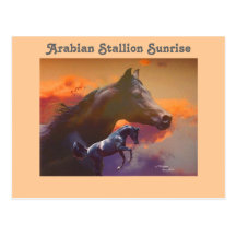 Carte postale Arabe de lever de soleil d'étalon