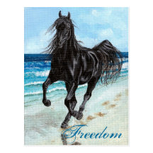 Carte postale Arabe de liberté de cheval d'étalon 