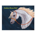 Carte postale Arabe de règle de chevaux