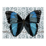 Carte postale bleue de damassé de papillon de Boho