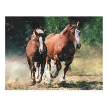 Carte postale bretonne de chevaux de trait