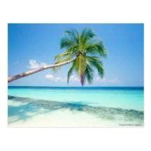 carte postale caribean de plage
