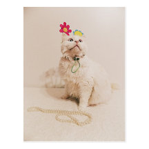 carte postale colorée de chat de diva