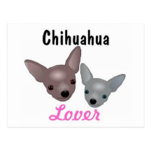 Carte postale d'amant de chiwawa