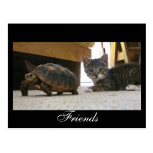 Carte postale d'amis