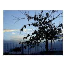 Carte postale d'arbre