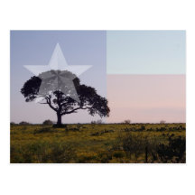 Carte postale d'arbre du Texas