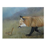 Carte postale d'art de rencontre de Fox rouge