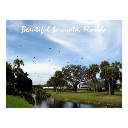 Carte postale de beau Sarasota, la Floride