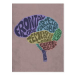 Carte postale de cerveau