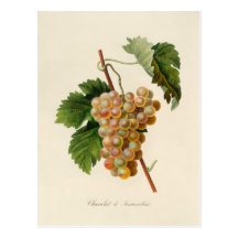Carte postale de Chasselat De Fontainebleau