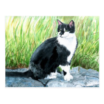Carte postale de chat de smoking