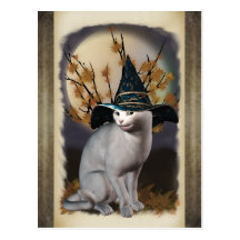 Carte postale de chat de sorcières