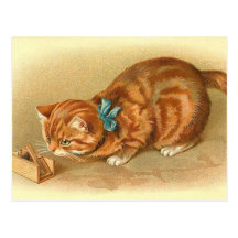 Carte postale de "chat et de souris"