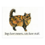 Carte postale de chat tigré de Brown