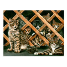 Carte postale de chats de trellis