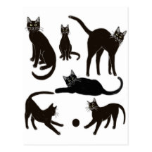 Carte postale de chats noirs