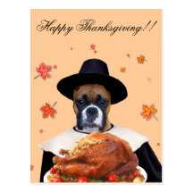Carte postale de chien de boxeur de thanksgiving