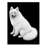 Carte postale de chien de Samoyed