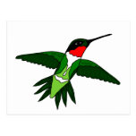 Carte postale de colibri