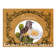 Carte postale de cru d'oiseau d'état de l'Arizona