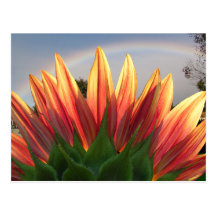 Carte postale de ~ d'arc-en-ciel de tournesol