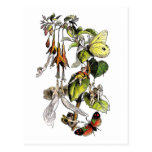 Carte postale de Fairie (féerie) par Richard Doyle