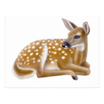 Carte postale de faon de cerfs communs coupée la q