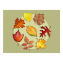 Carte postale de feuille d'automne