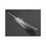Carte postale de flottement de plume