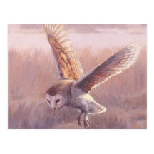 Carte postale de hibou de grange