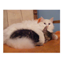 Carte postale de HugZ