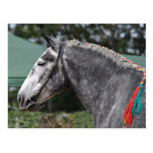 Carte postale de jument de cheval de trait de Perc