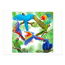 Carte postale de jungle d'ara