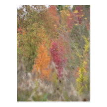 Carte postale "de l'automne du Pointillist"