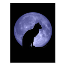 Carte postale de lune bleue de chat noir