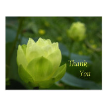 Carte postale de Merci de bourgeons de Lotus