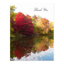Carte postale de Merci de sympathie de beauté d'au