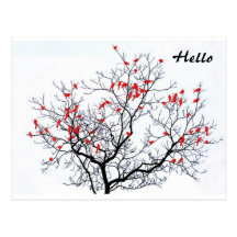 Carte postale de nature