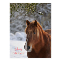 Carte postale de Noël de cheval et de gui