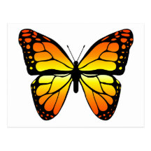 Carte postale de papillon de monarque