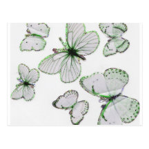 carte postale de papillons