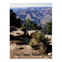 Carte postale de parc national de canyon grand