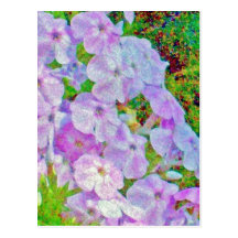 CARTE POSTALE DE PEINTURE DE PHLOX