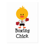 Carte postale de poussin de boxe