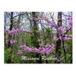 Carte postale de Redbud Missouri