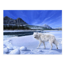 Carte postale de rivière de loup blanc de patrouil